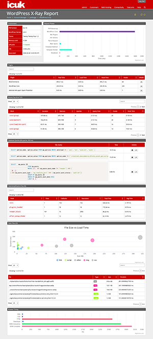 WordPress X-Ray Report