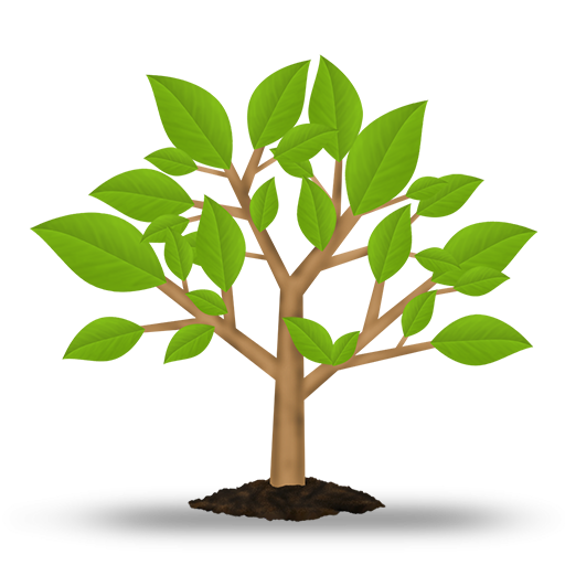 Green Hosting